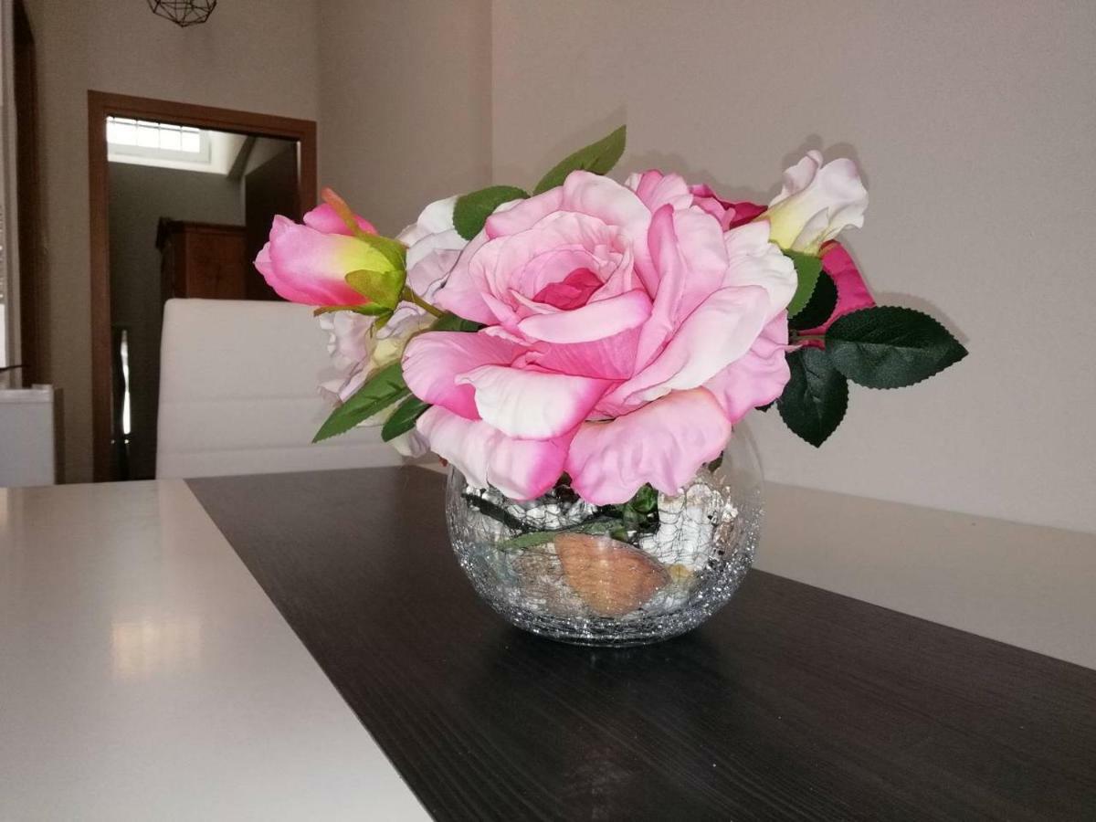 Apartment Punta Pula
